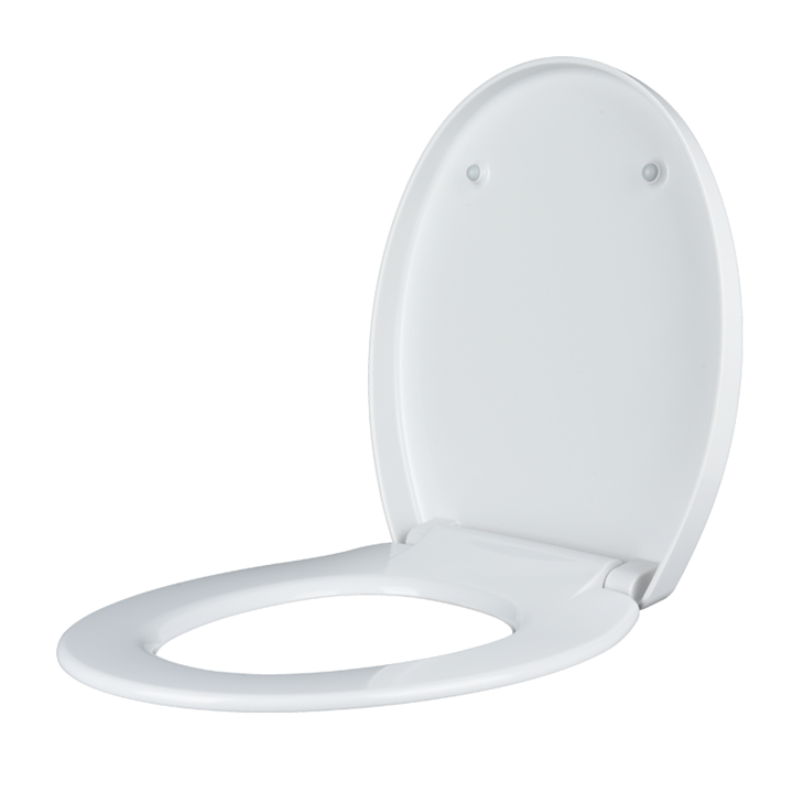 3 seat-for-American-toilet